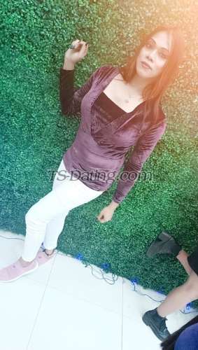 trans girl HotZeenat 2667582 trans girl HotZeenat 2667582