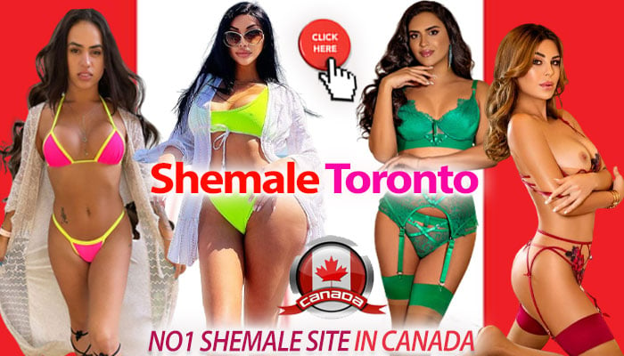 Canada Shemale Escort - Shemale Escorts in Toronto | TS-Dating.com