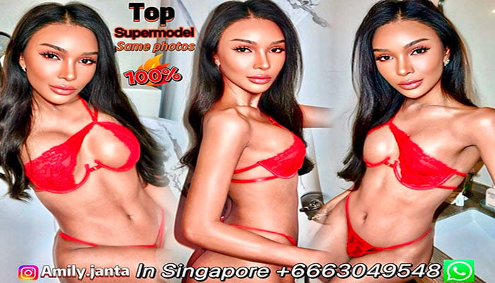 ladyboy escort Sugar Holly