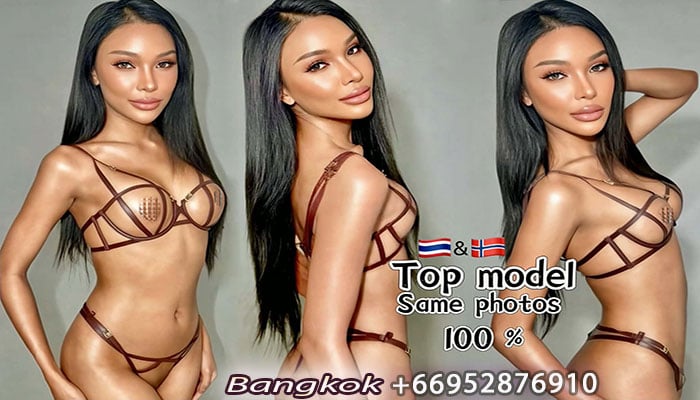 ladyboy escort