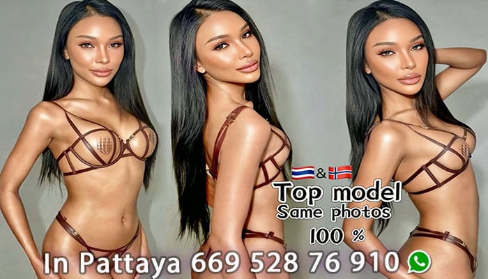 ladyboy escort 