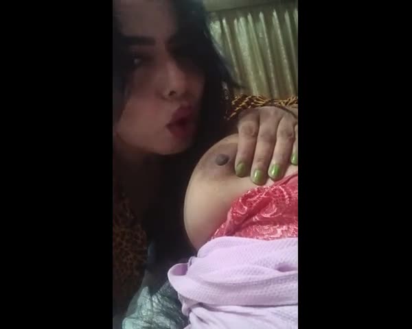 feedvid-shewtajaan-4015896  shewta jaan feed video