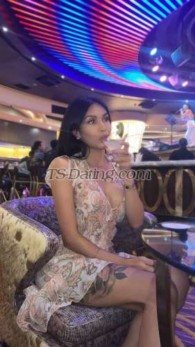 trans girl Adrianagg 1262029 trans girl Adrianagg 1262029