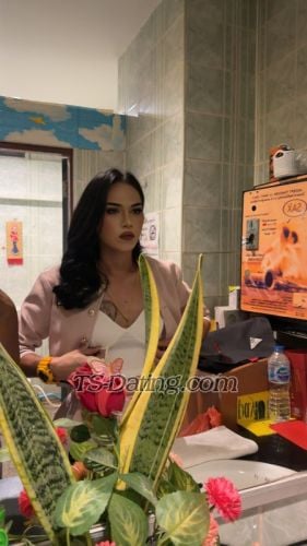 trans girl Ahmed1997 6092247 trans girl Ahmed1997 6092247