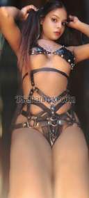 Akaansha Akaansha69 Akaansha69 Delhi Transex ONLY FOR GENTLEMEN ❤️ 
MY NEW Account 
Twitter  = cheeryverm22157  
ts akaansha delhi