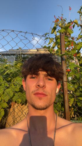 Alan420-6427861 