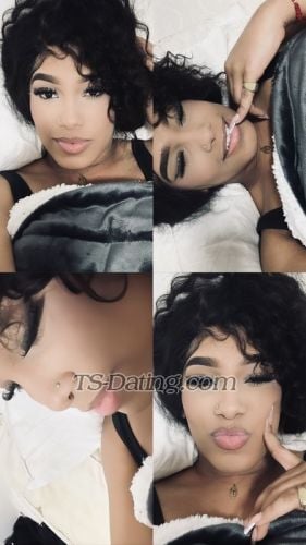 trans girl AlejandraVi 6418379 trans girl AlejandraVi 6418379