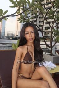 Thalia Alexa Summers Alexa Summers Bangkok Transex Hi I am Alexa short for Alexandra a half Moroccan /filipina mixed, 21 years old fresh and young newbie. More beautiful than pictures if you dont believe you can call me for face recognition, Hope to meet your fantacy into reality. 
Service available
Anal Sex
BDSM
CIM - Come In Mouth
COB - Come On Body
Couples
Deep throat
Domination
Face sitting
Fingering
Fisting
Foot fetish
French kissing
GFE
Giving hardsports
Receiving hardsports
Lap dancing
Massage
Nuru massage
Oral sex - blowjob
OWO - Oral without condom
Reverse oral
Giving rimming
Rimming receiving
Role play
Spanking
Strapon
Striptease
Submissive
Squirting
Tantric massage
Teabagging
Tie and tease
Uniforms
Giving watersports
Receiving watersports
Webcam sex
FULLY FUNCTIONAL CAN TOP CAN BOTTOM ✅