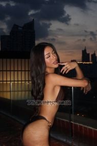 Thalia Alexa Summers Alexa Summers Bangkok Transex Hi I am Alexa short for Alexandra a half Moroccan /filipina mixed, 21 years old fresh and young newbie. More beautiful than pictures if you dont believe you can call me for face recognition, Hope to meet your fantacy into reality. 
Service available
Anal Sex
BDSM
CIM - Come In Mouth
COB - Come On Body
Couples
Deep throat
Domination
Face sitting
Fingering
Fisting
Foot fetish
French kissing
GFE
Giving hardsports
Receiving hardsports
Lap dancing
Massage
Nuru massage
Oral sex - blowjob
OWO - Oral without condom
Reverse oral
Giving rimming
Rimming receiving
Role play
Spanking
Strapon
Striptease
Submissive
Squirting
Tantric massage
Teabagging
Tie and tease
Uniforms
Giving watersports
Receiving watersports
Webcam sex
FULLY FUNCTIONAL CAN TOP CAN BOTTOM ✅