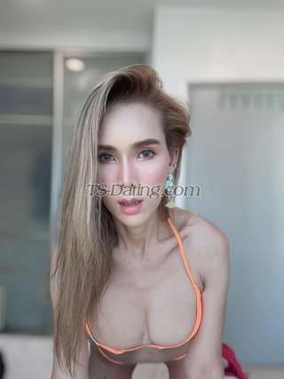 trans girl Alicss 1842449 trans girl Alicss 1842449