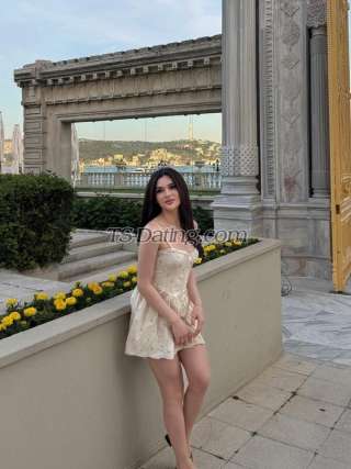 trans girl AlinaBoz 8364488 trans girl AlinaBoz 8364488