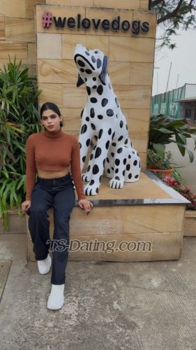 trans girl Alinababy 3959263 trans girl Alinababy 3959263