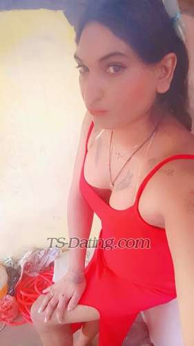 trans girl Alisha25 0933732 trans girl Alisha25 0933732