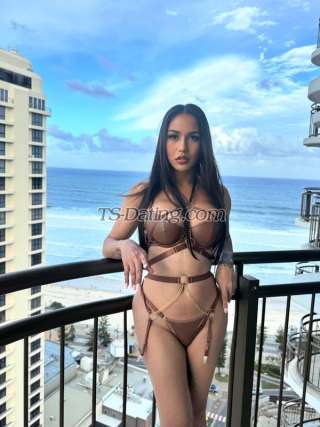 trans girl Amanda1126 1537738