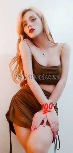 trans girl Amanda888 3127066