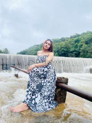 trans girl Amanda91 7847146 trans girl Amanda91 7847146