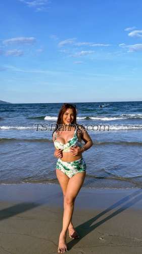 trans girl AmandaBabe 3234471 trans girl AmandaBabe 3234471
