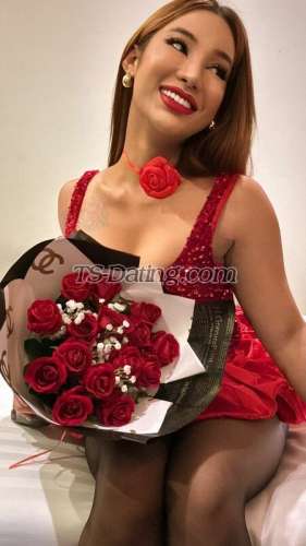 trans girl AmandaBabe 9455372 trans girl AmandaBabe 9455372