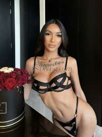 Amanda Amanda K Amanda K Manila Transex Cerchi qualcuno di femminile ma pienamente funzionale? Che sappia fare il sodomita e che sappia anche venire? Che sia pulito e molto igienico? Un trans ben educato, istruito e passionale? Non cercare oltre, hai trovato la persona giusta per te. 💋 Le foto sono REALI. Sentiti libero di effettuare una videochiamata per verificare. E se vuoi davvero vivere un momento indimenticabile, senza fretta e in piacevole compagnia, contattami e potremo divertirci insieme e fare molto di più. Non esitate a contattarmi o a chiamarmi in qualsiasi momento. 🤍 Spettacolo in webcam ✅ Pagamento in criptovaluta ✅