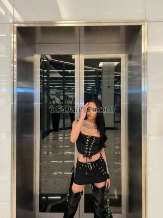 trans girl amandacy 5804789 trans girl amandacy 5804789