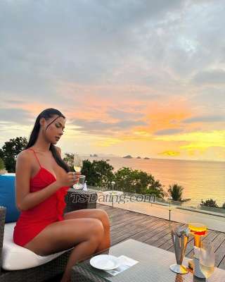Amanda Shemale Escort - London United Kingdom - TS-DATING.COM @ 