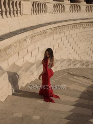 trans girl Amayla 8620183 trans girl Amayla 8620183