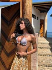 Ambar Mendoza Ambar Mendoza Ambar Mendoza Lima Transex Hola, soy ámbar
Jovencita alegre versátil con 21
cm de dotación me encanta salir y pasarla rico escríbeme
si quieres conocerme. ❤️
Hago encuentros y
videollamadas previa coordinación. 🫶🏻