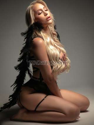 trans girl AmberBella 4969103 trans girl AmberBella 4969103