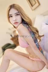 Ameliasuasa Bangkok Transex Can I help you make your night special and better? 😘 My
cock 7 inch 👍🏻✅

🔰WhatsApp:
+66962048805

🔰Line : noohang96

🔰
Telegram : +66979626635 


 Hello, please call
me Kitty. 🥰
I am a world famous porn star ⭐️6M
Views‼️
I have a clean personality and a nice smell.

Look like lady small body  , It smells really
good.
Beautiful figure, good figure, white skin good

✅My pictures are 100% like me. ✅

I have
beautiful feet and hands with beautiful, mesmerizing
nails.♥️ 
😎Good service everything
💯
📌You will definitely be impressed with the best
service in your life. 💯 Then you will definitely come
back to see me again. 😉

❤️ I'm both
bottom&Top
♥️ Cock White skin is long hard &
big
♥️ Have big cum💦

I can do everything
#incall #outcall 