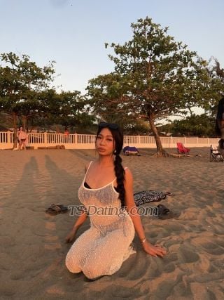 trans girl Amirasohott 0085842 trans girl Amirasohott 0085842