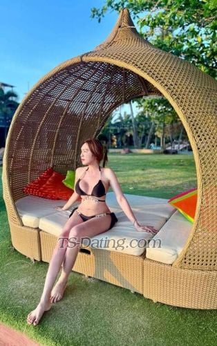 trans girl Ammyzaza 5198521 trans girl Ammyzaza 5198521