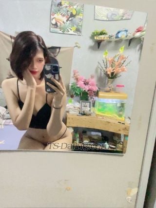 trans girl Amoramu17 4479717 trans girl Amoramu17 4479717