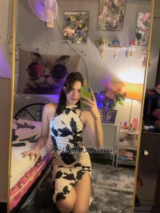 Shemale-Amoramu17-7325593 