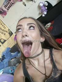 A-JAY AmyJay AmyJay Edmonton Transex Hola papi! Soy Amy, una chica trans sensual, divertida y extrovertida. Soy sumisa, pasiva y puedo ser dominante si quieres. Conocida por mis enormes labios de mujer. ¡Me encanta chupar y que me follen la cara! Mi prioridad es asegurarme de que te diviertas y te corras con discreción y seguridad. Soy de mente abierta y tengo una personalidad amigable y alegre. Mido 15 cm. ¡Estoy en un nuevo y lujoso condominio en el centro de Edmonton! Hago llamadas o salidas. ¡Divirtámonos, seré tu muñeca! Bbbj, cim, cof, dfk, gfe, todo incluido. Msog incluido solo en sesiones de una hora o más* LLAMADA: $380/hora $250/media hora $2200/Noche SALIDA $450/hora + tarifas de Uber en ambos sentidos