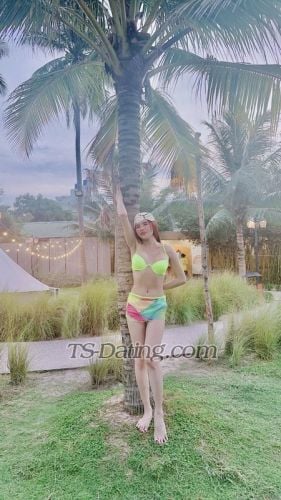 trans girl AnNhienn 0666338 trans girl AnNhienn 0666338