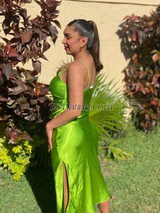 trans girl Anel01 3747505 trans girl Anel01 3747505