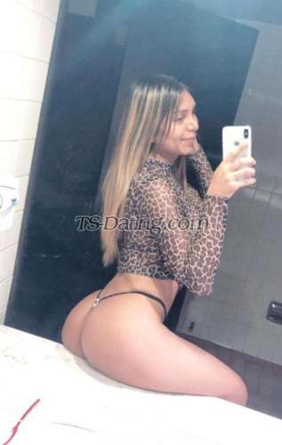 trans girl Anel01 7855532 trans girl Anel01 7855532