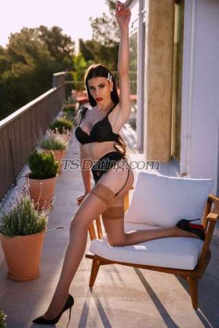 trans girl AngelAnna 6619850 trans girl AngelAnna 6619850