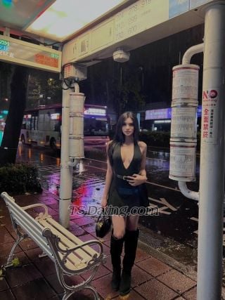 Shemale-AngelOF-3048531 