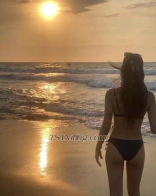 trans girl AngelikaLim 8583410