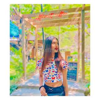 trans girl Ankita22 2560863 trans girl Ankita22 2560863