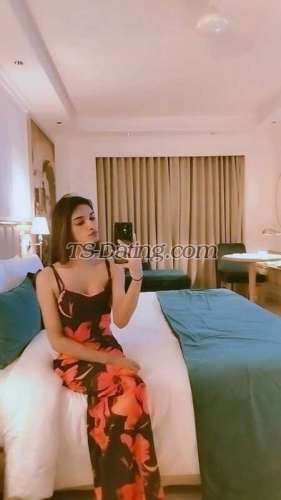 trans girl Ankyhott 2902508 trans girl Ankyhott 2902508