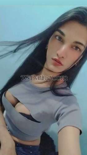 trans girl Ankyhott 4069887 trans girl Ankyhott 4069887