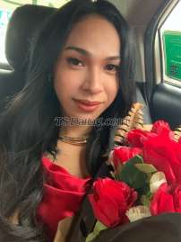 AnnaLoula Cagayan De Oro Transex Hello my dear readers, this is AnnaLoula again.

If you are to ask me, I would say that the sexiest thing about me is my beauty.