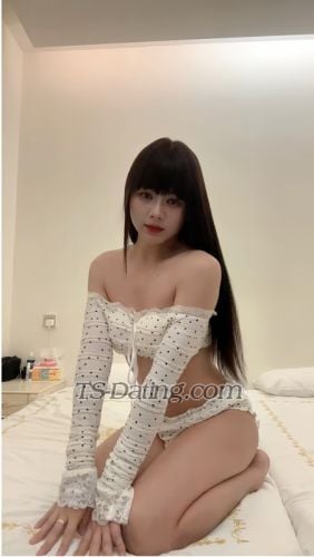 trans girl Annapham 7259373 trans girl Annapham 7259373