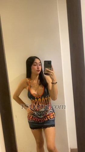 trans girl Annesalonga11 4919521 trans girl Annesalonga11 4919521