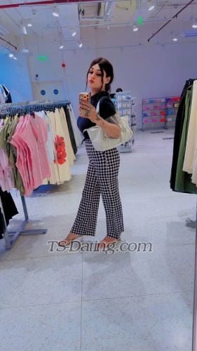 Shemale-Anshikaa-3699254