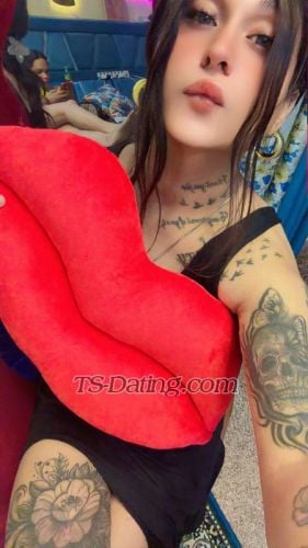 trans girl Anshikaa 7408778