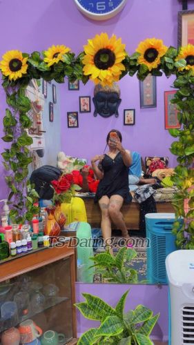 trans girl Anshikaa 8972305 trans girl Anshikaa 8972305