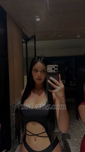 trans girl Apphiaxxx 9115485 trans girl Apphiaxxx 9115485